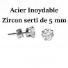 1 paire de puces d'oreilles acier inoxydable & zircon blanc 5 mm
